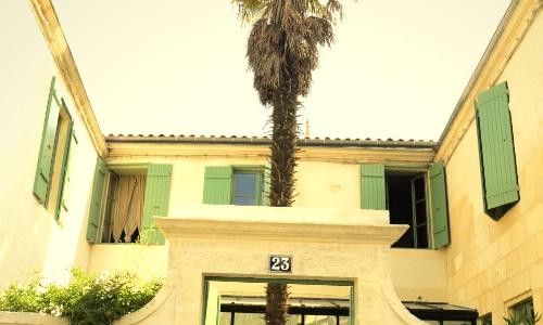 Photo La Maison du Palmier (La Rochelle)